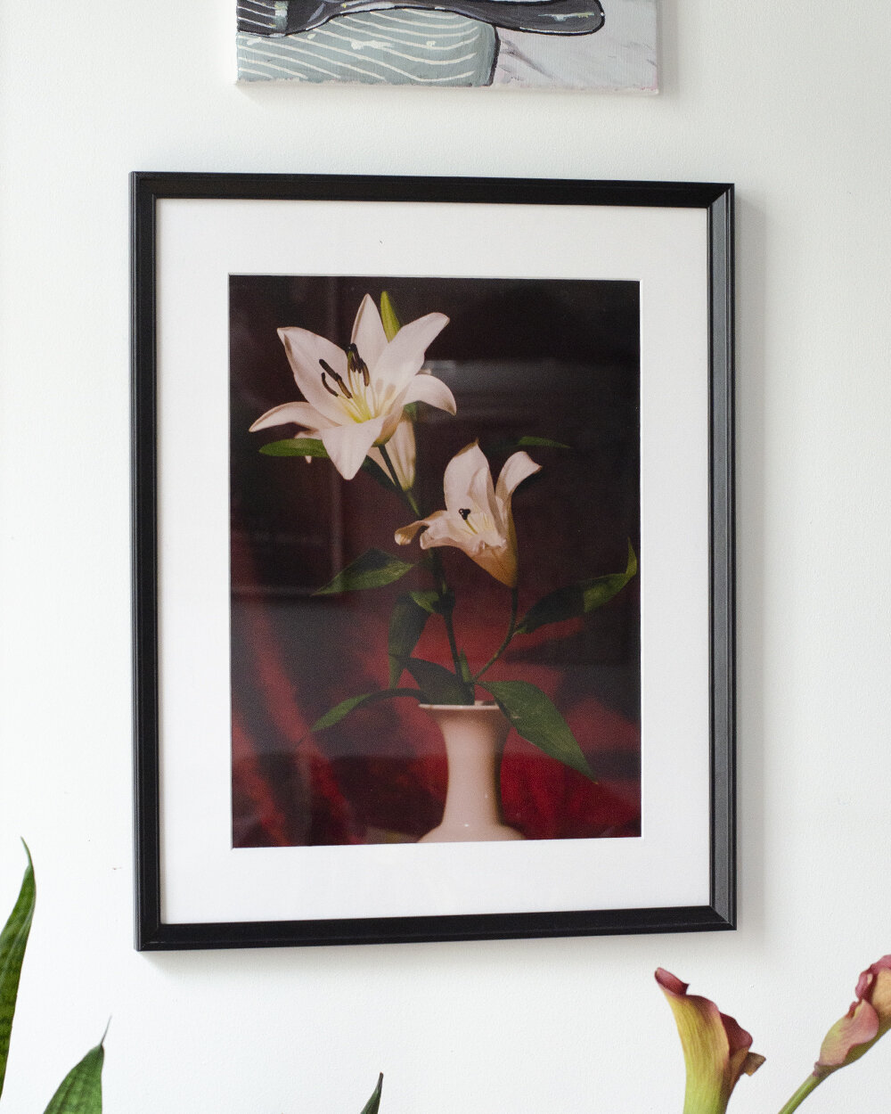 amy-mcneil-white-lily-2.jpg
