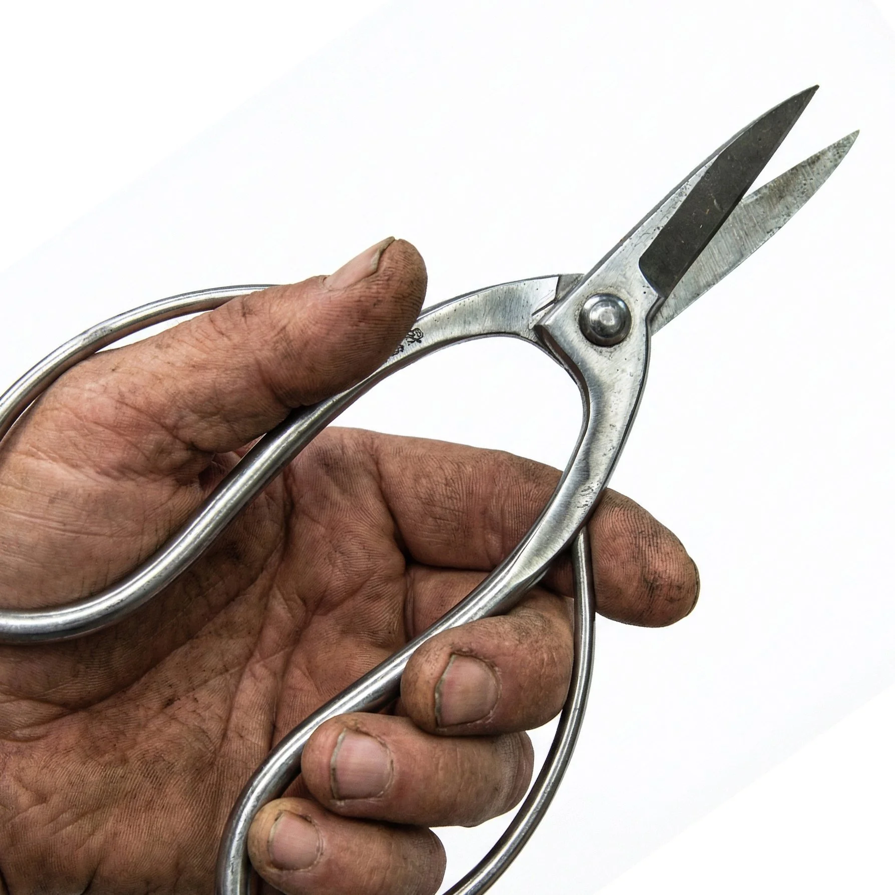 Root shears 2 edited.jpg