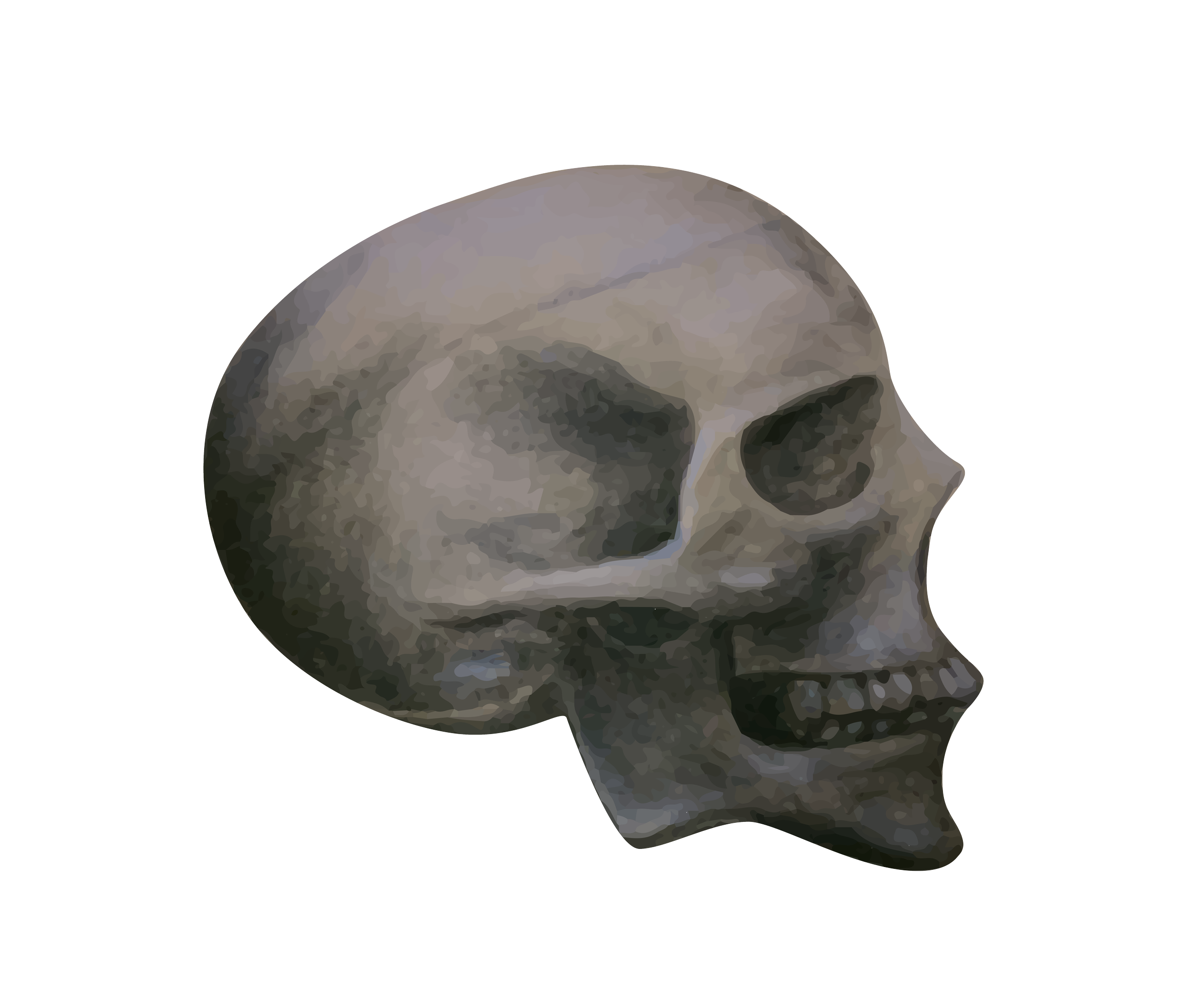 SkullCharcoalHS-01.png