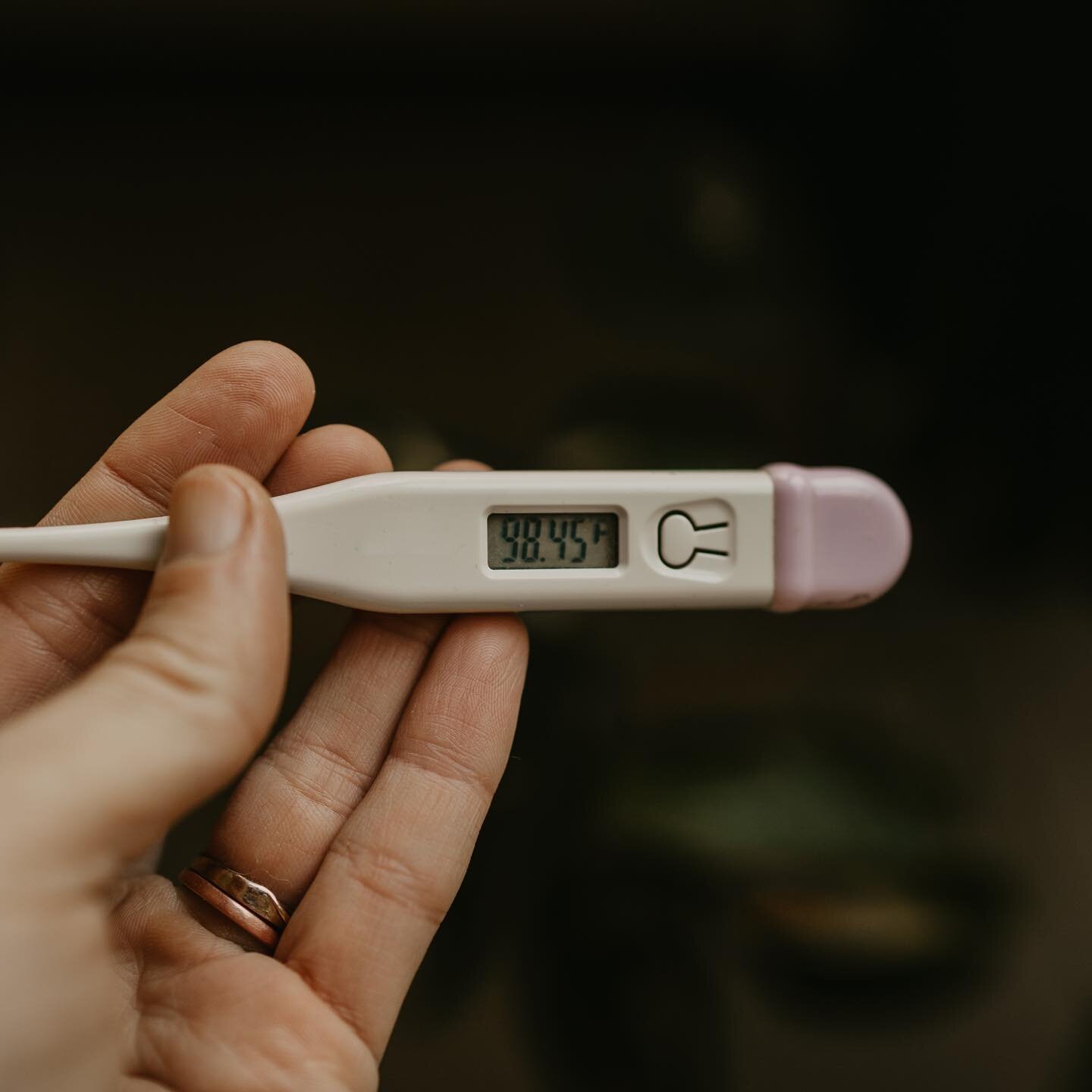 🌡 To expound a little further on the warm hands and feet club, another easily accessible health metric is body temperature and pulse.
&nbsp;
🤸 I&rsquo;ve talked to a lot of people who are eating &ldquo;pro-metabolic&rdquo; but not checking in with 