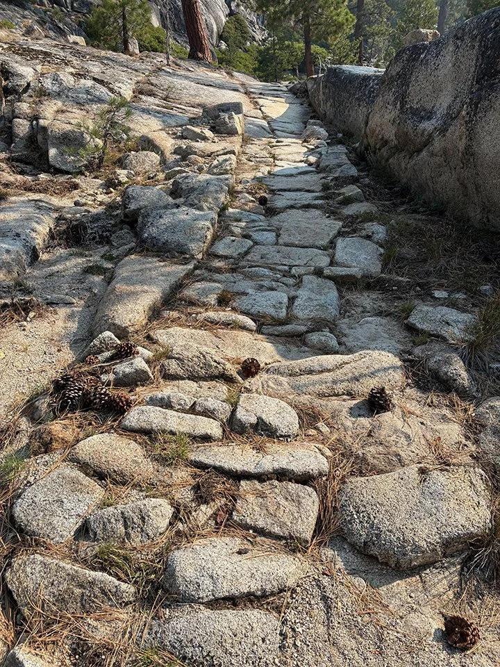 Trail mosaic