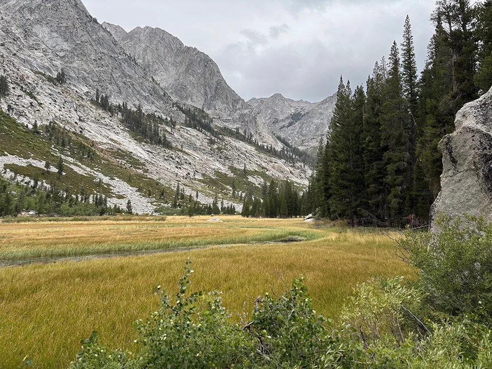 Grouse Meadow Before the Rain (looking north)