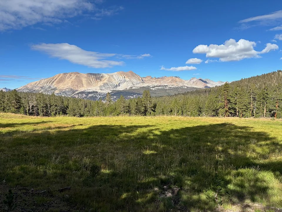 Great Western Divide from Sandy Meadow (looking west)