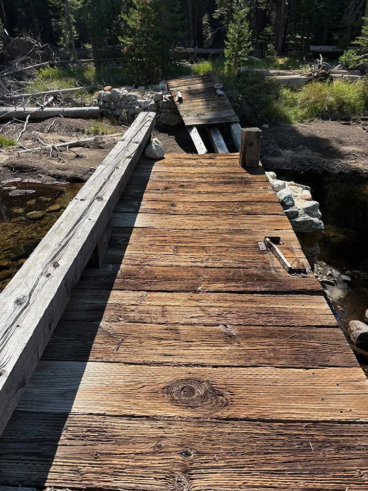 Broken bridge - Lyell & Gray Fork confluence