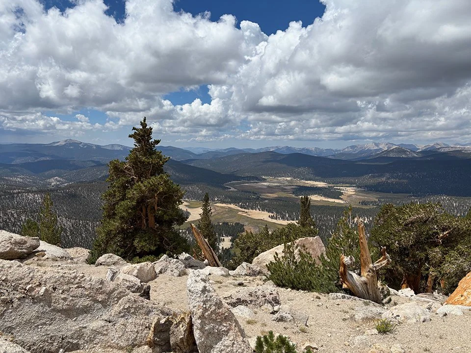 Big Whitney Meadow from Cottonwood Pass (looking west)