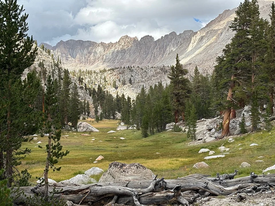 Meadow below Soldier Lake (looking north)