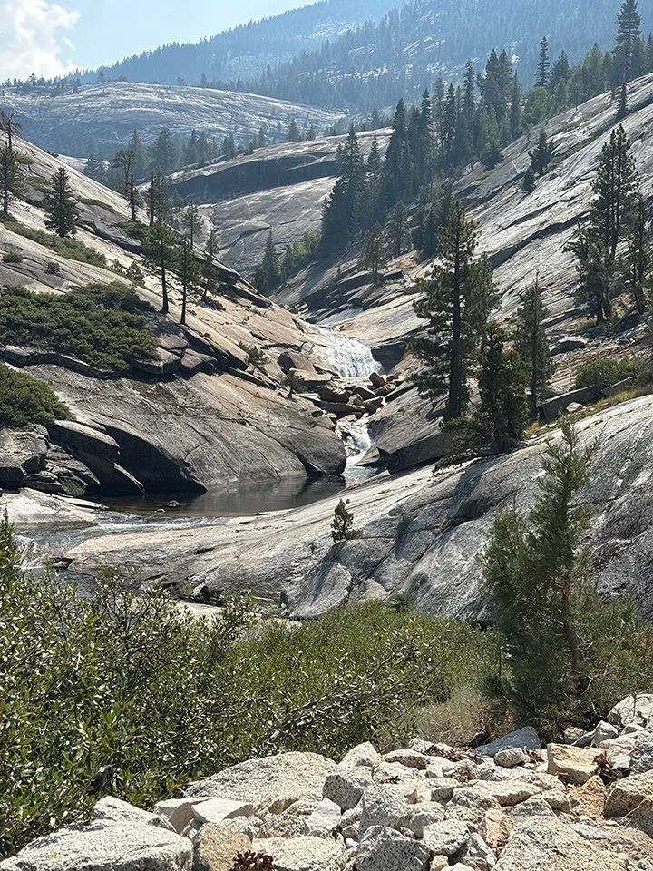 Looking east