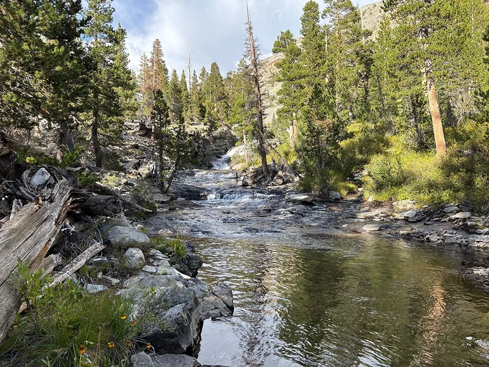 Pool on Woods Creek