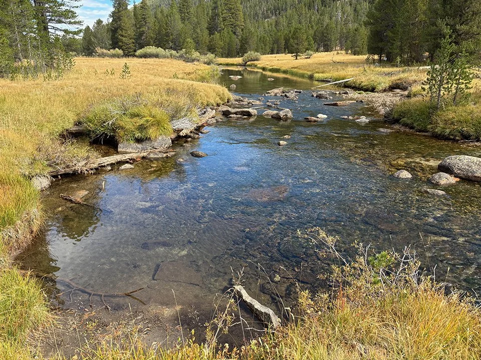 Lyell Fork Tuolumne River in Yosemite