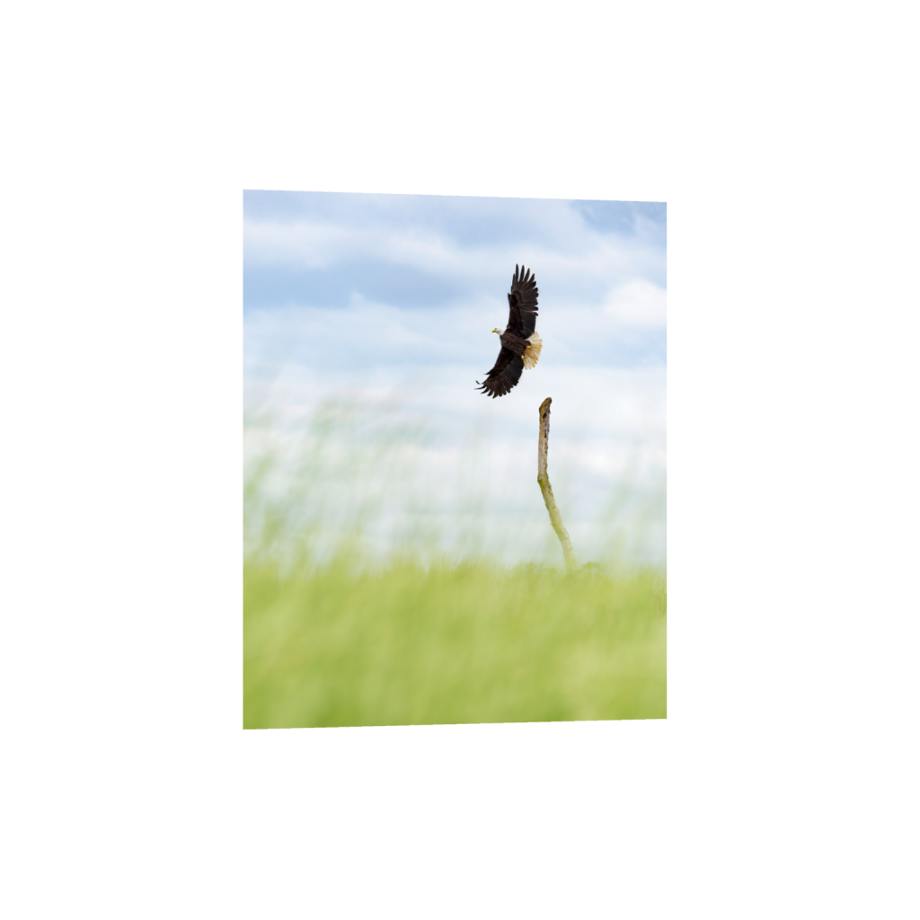 fineartprints_rectangle4_5_0_0_3888_4860_0.png
