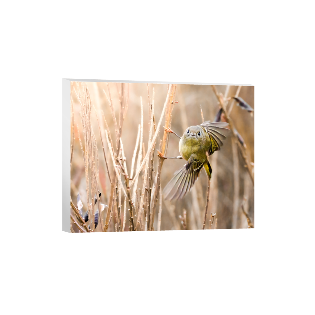 canvas_rectangle4_5_92_0_2778_2223_0.png