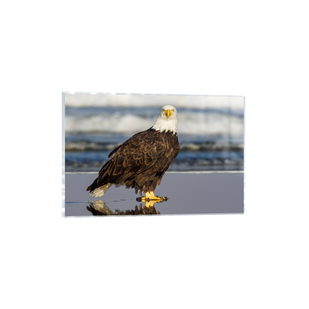 acrylicprint_rectangle2_3_0_0_3708_2472_0.png