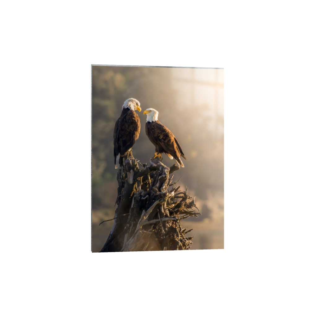 metalprint_rectangle5_7_89_0_3558_4982_0_false_ffffff_0_0.png