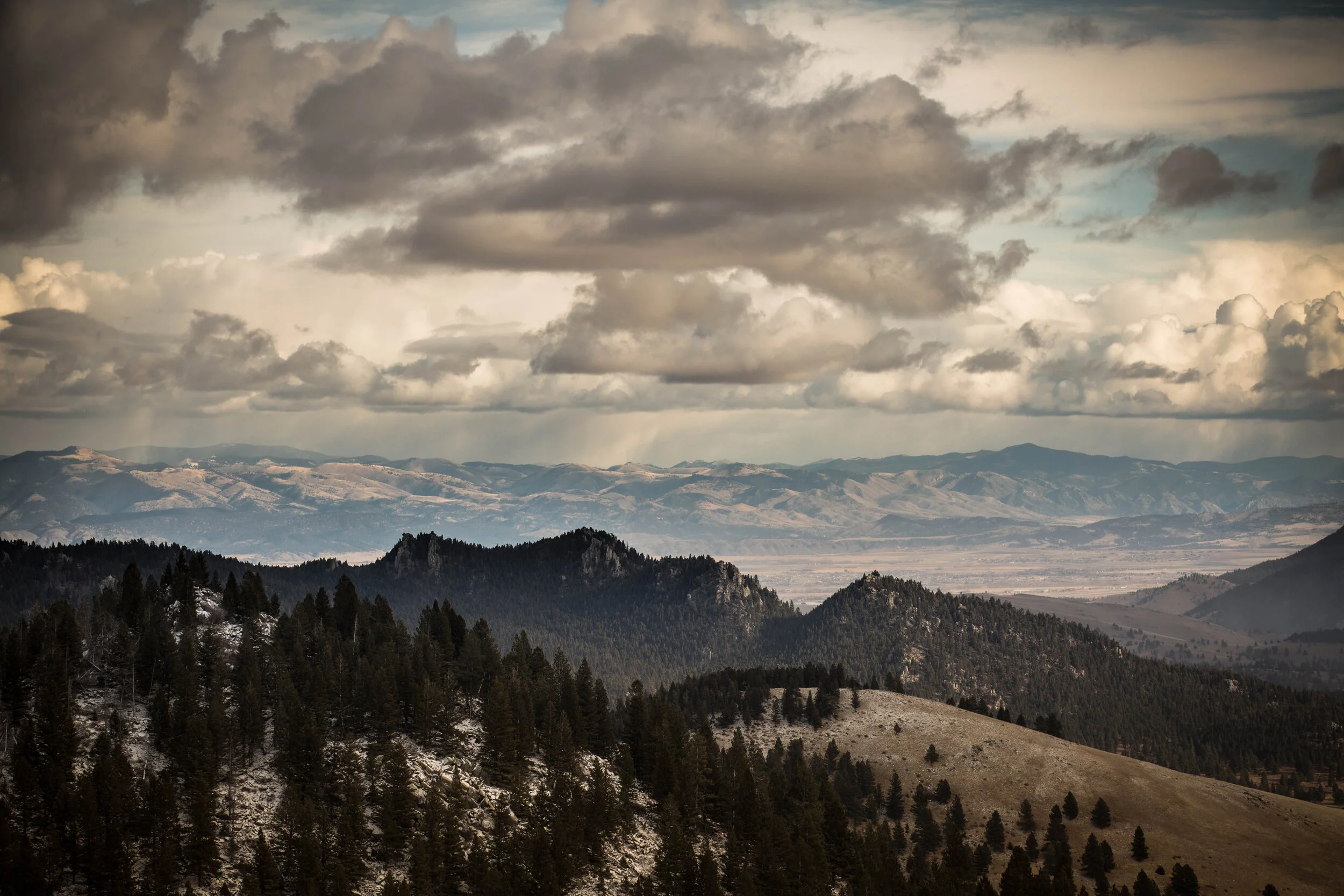 montana5-5.jpg