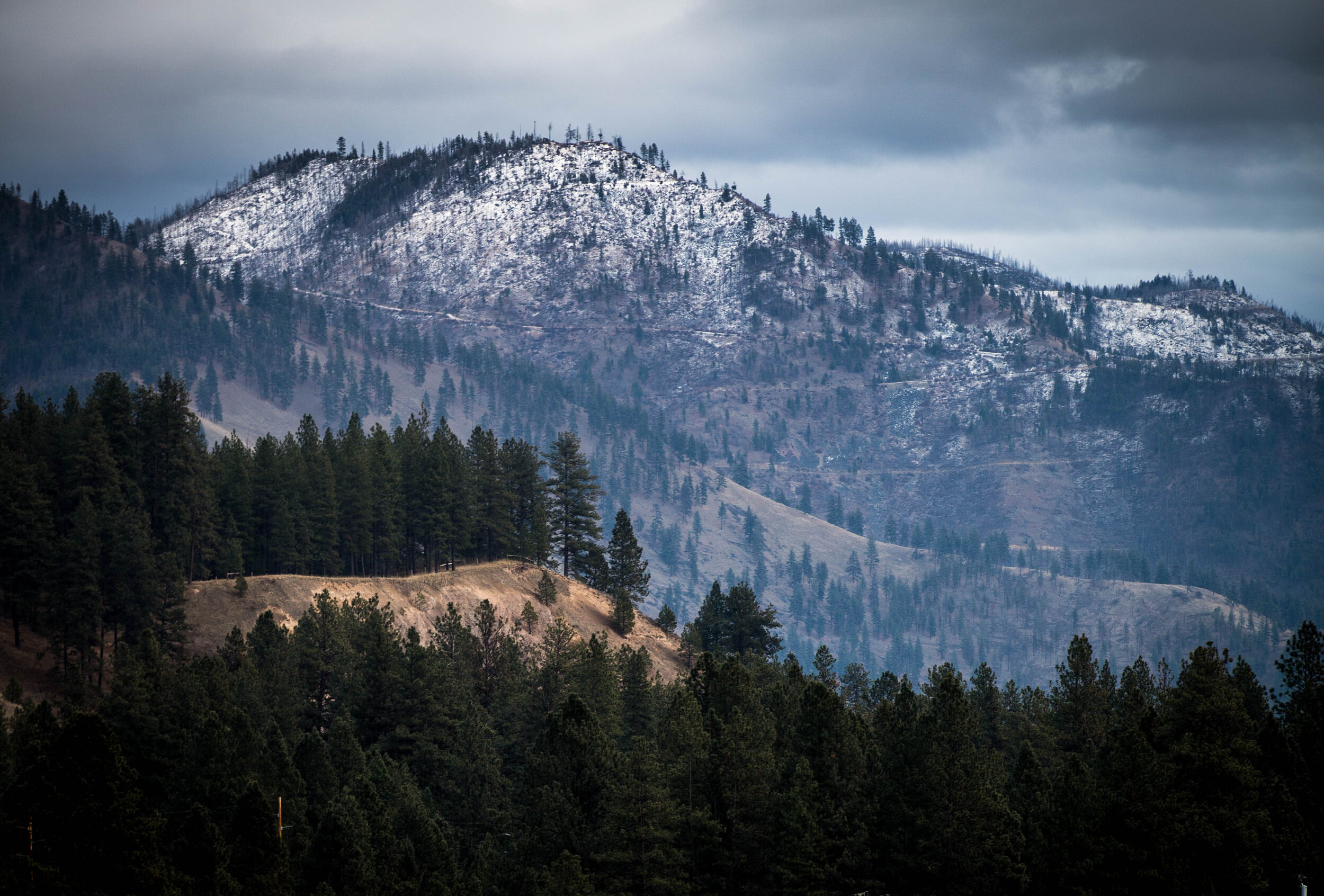 montana6-5.jpg