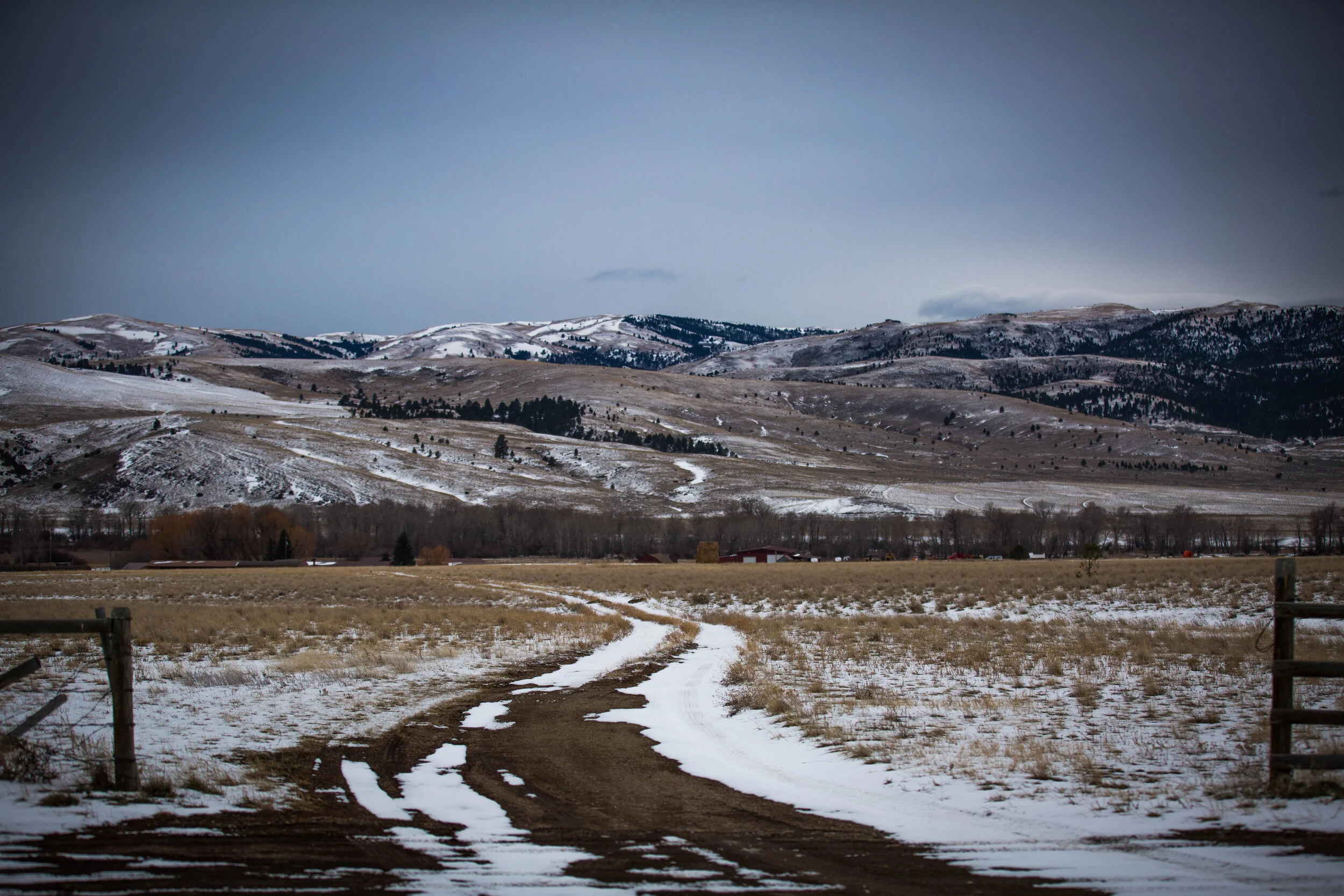 montana-15.jpg