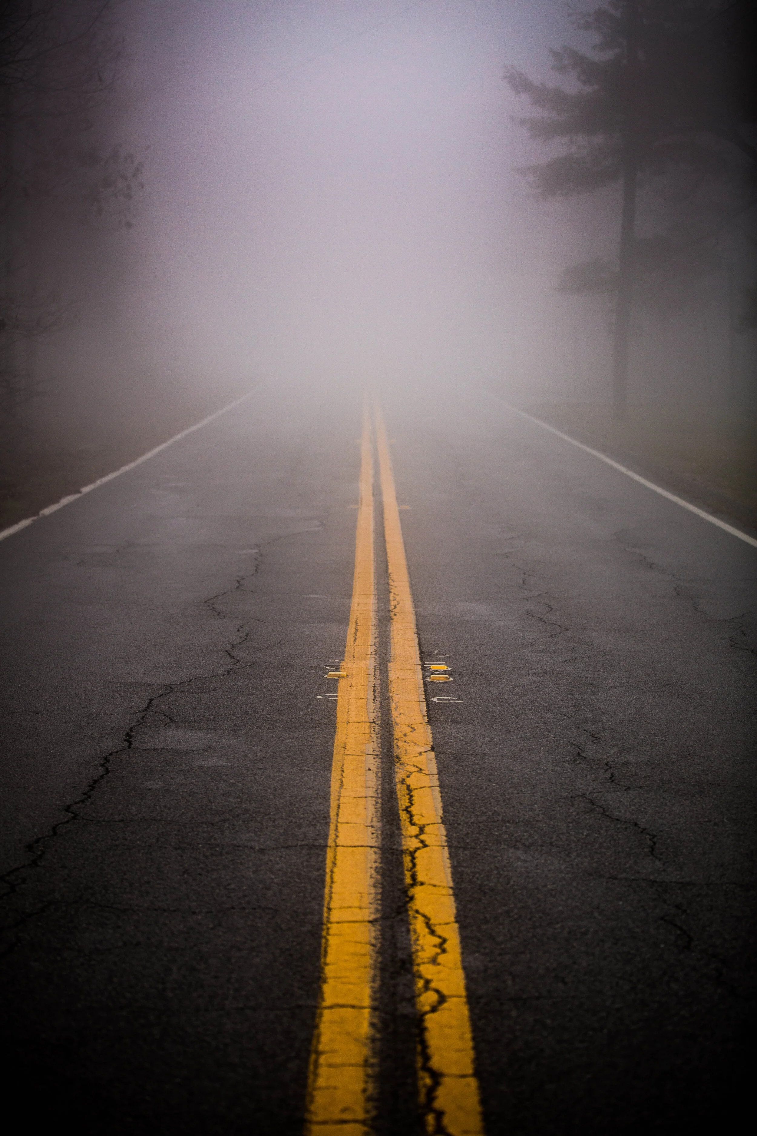 lookoutmtn-3.jpg