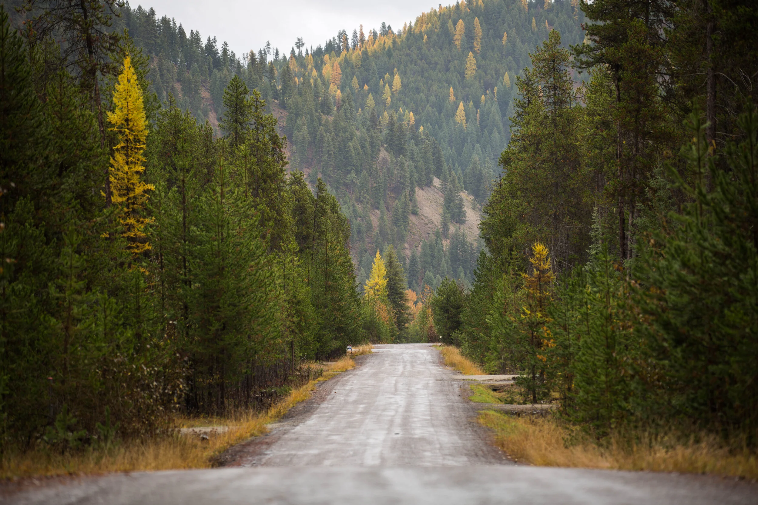 idaho2-10.jpg