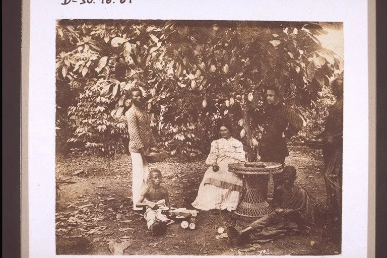 Brown Gold, White Profit: The Cocoa Conspiracy