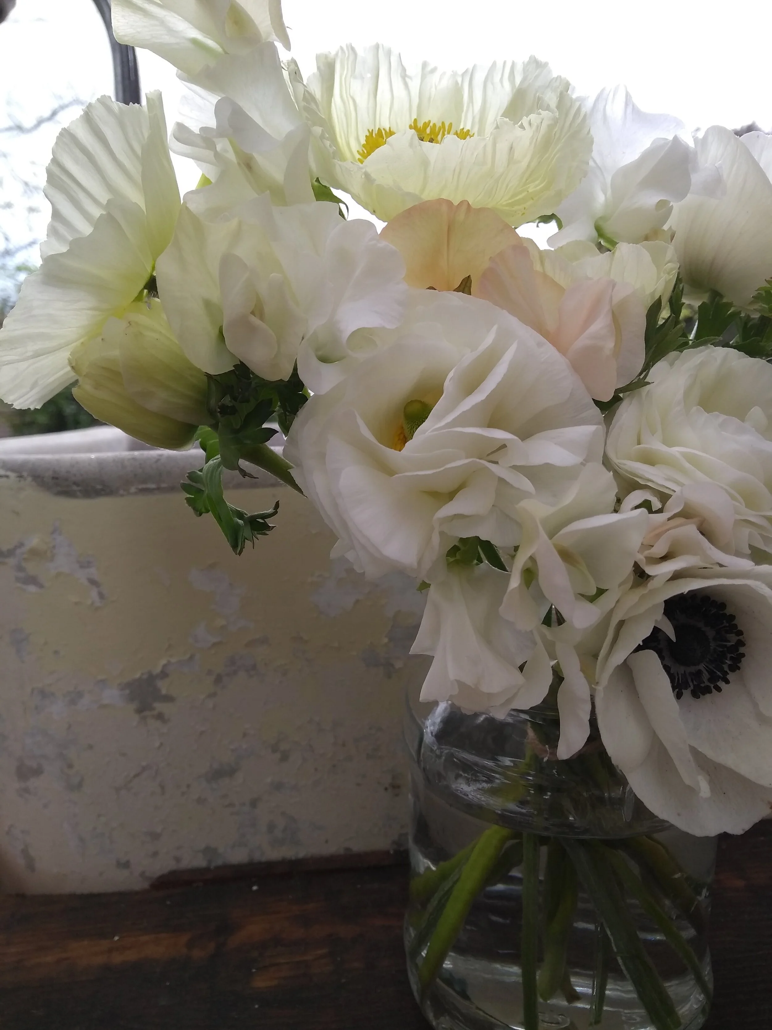 Conscious Blooms Anemone.jpg