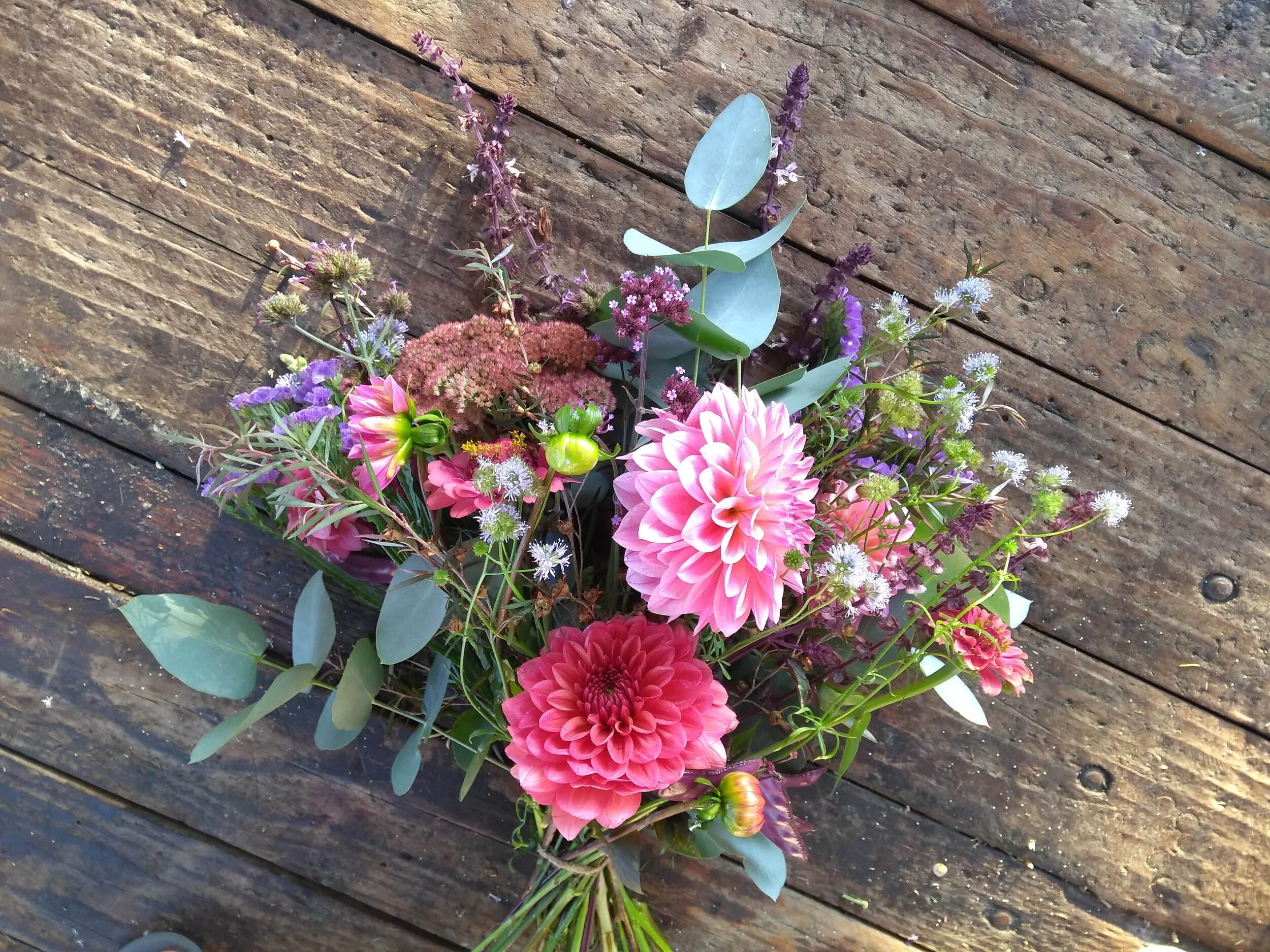 Conscious Bloom bunch.jpg