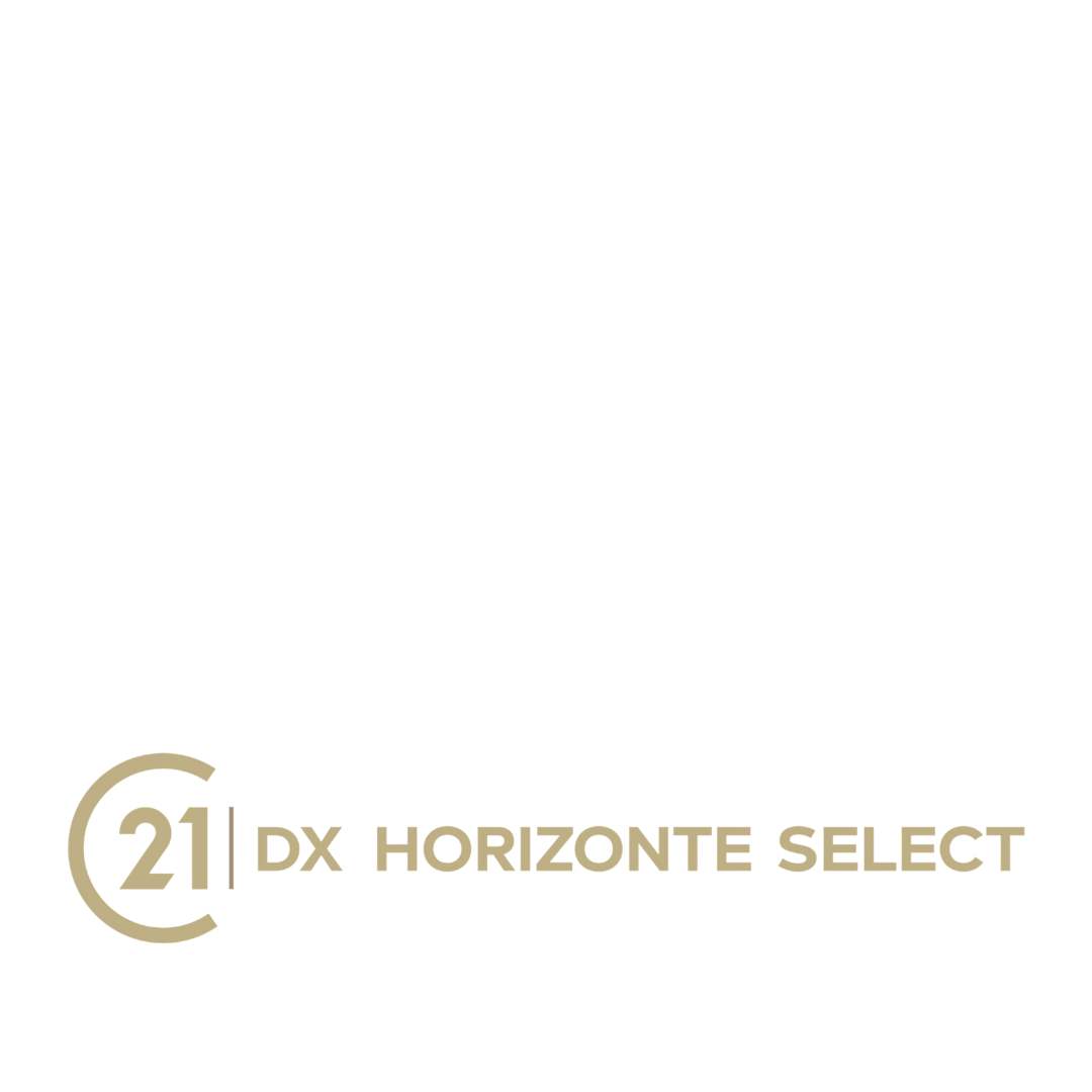 21 DX.png