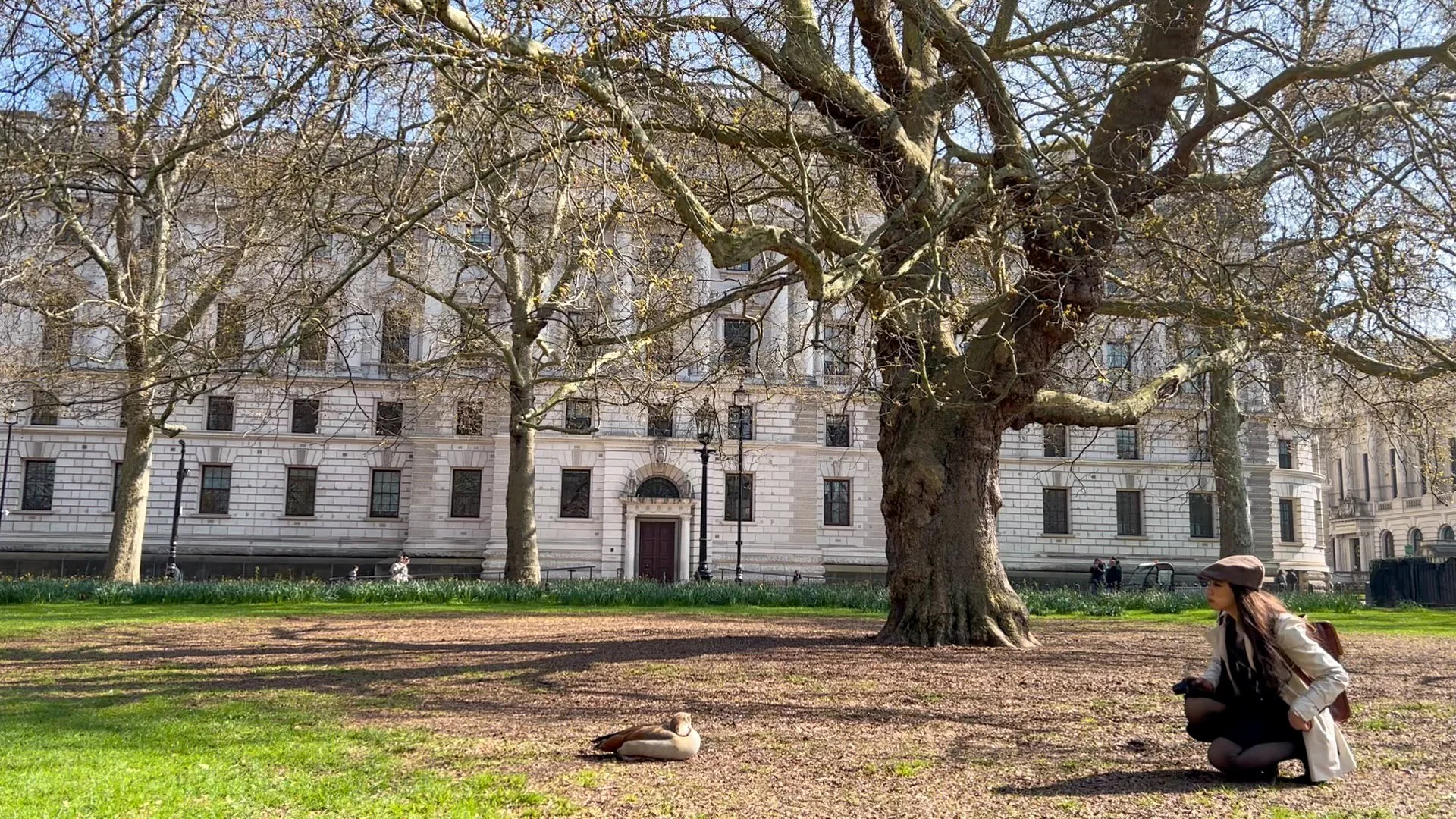 IMG_6937 frame 1895 of 5141.jpg