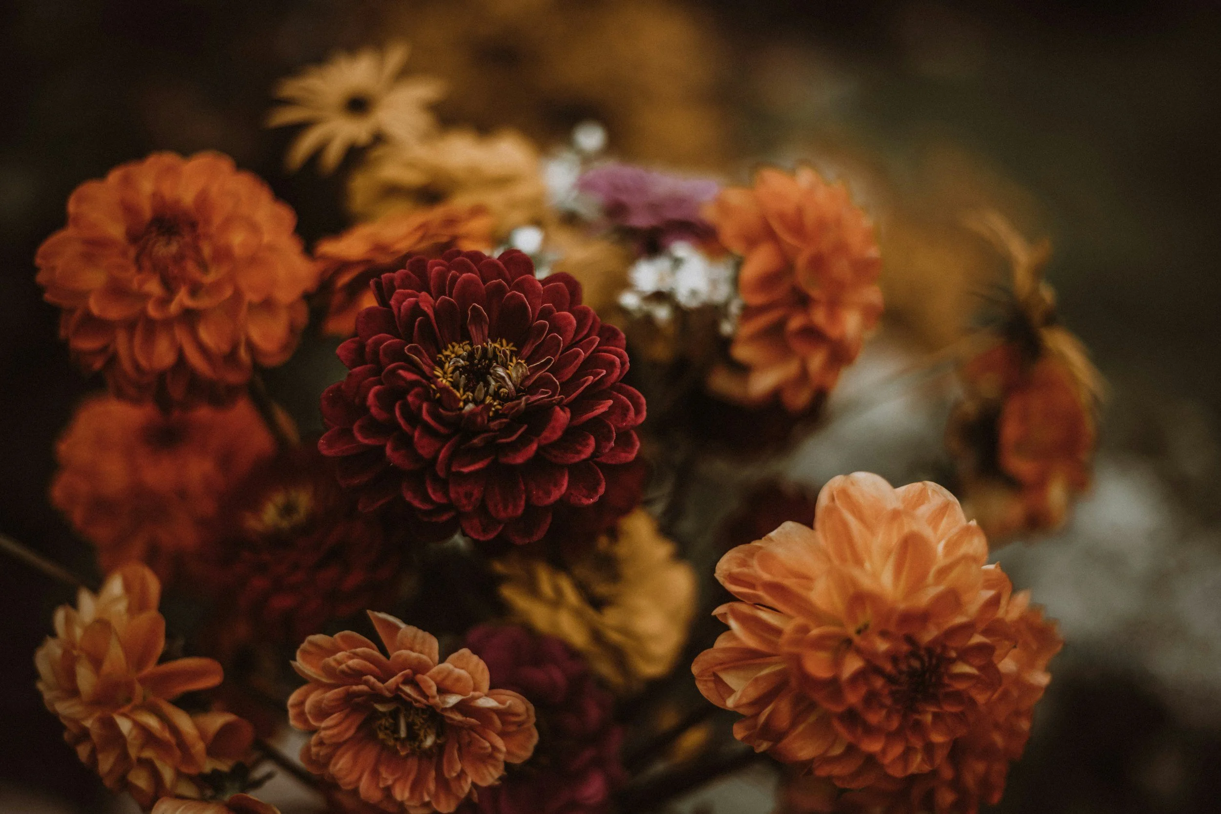 a close up of a bouquet of fall flowers in light orange, yellow, and dark red.