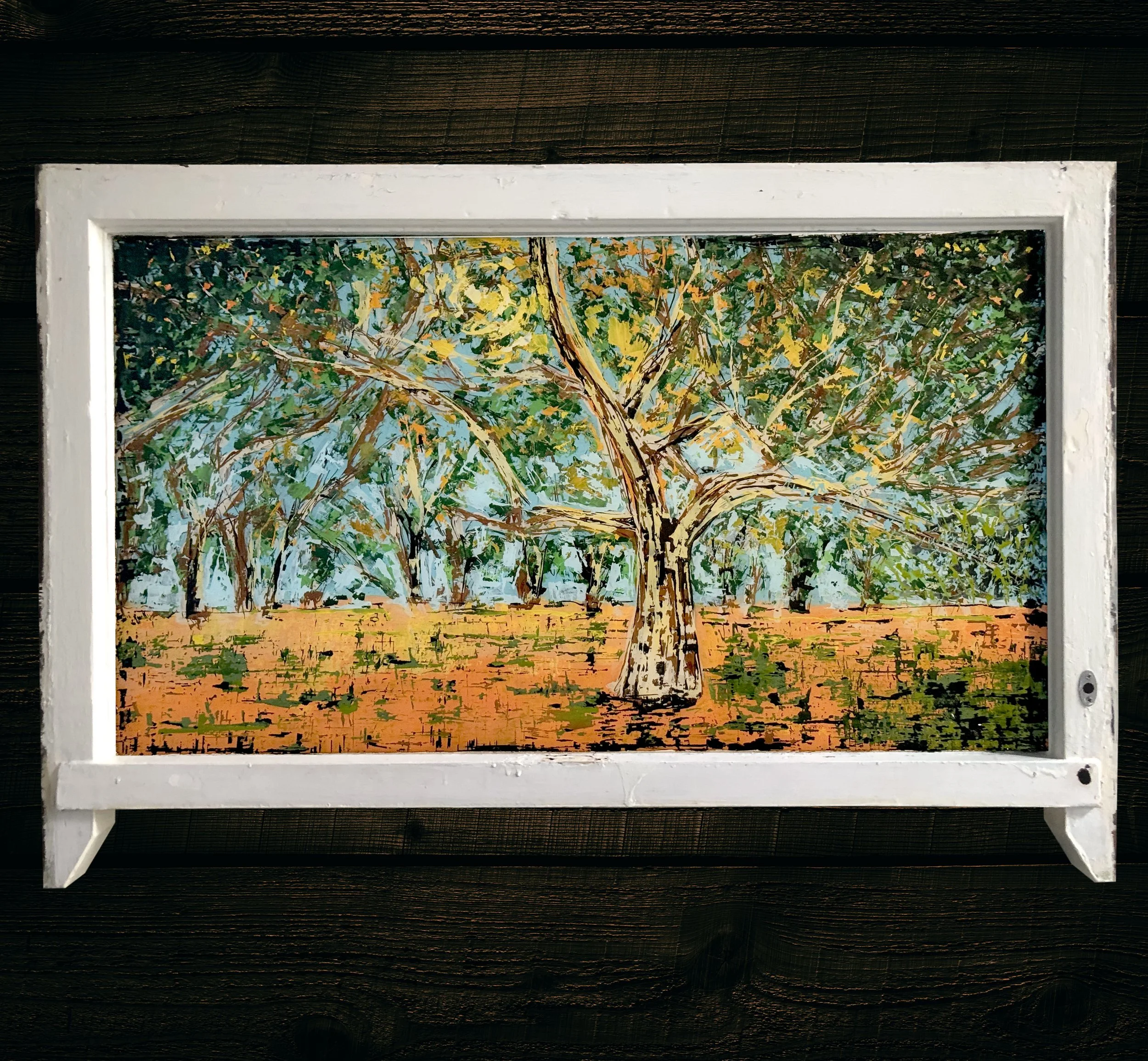 Sunfire through the trees.jpg