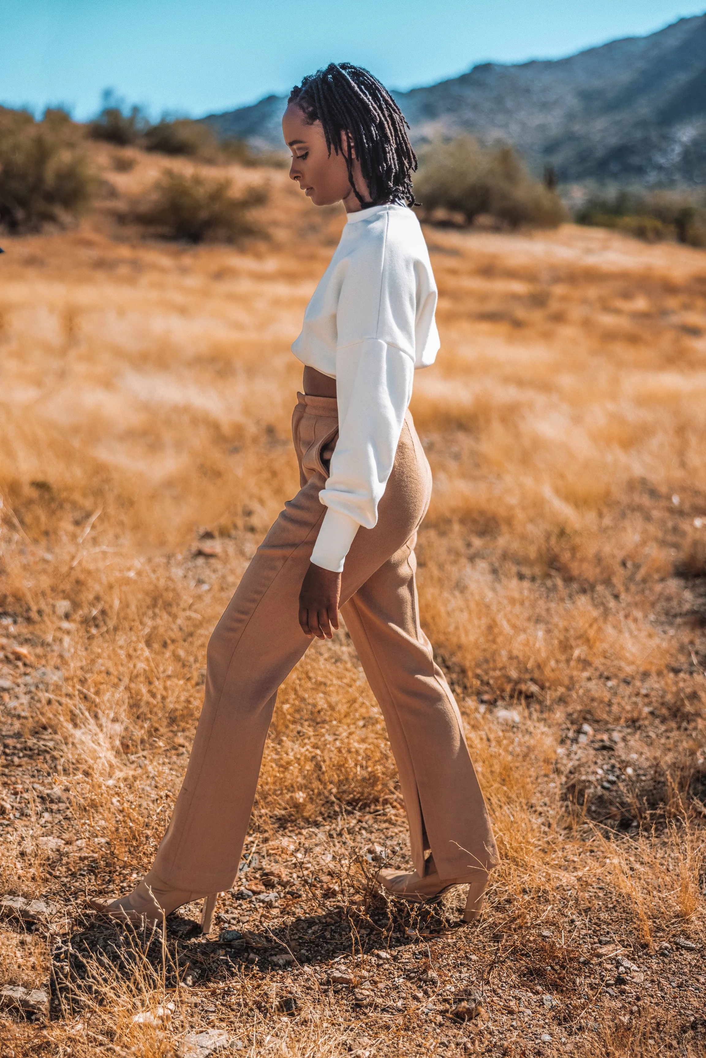 LOOKBOOK ART — FRUITFUL ROOSTER