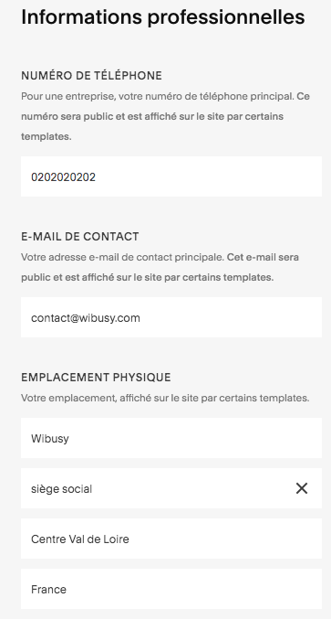 remplir les informations professionnelles pour le SEO