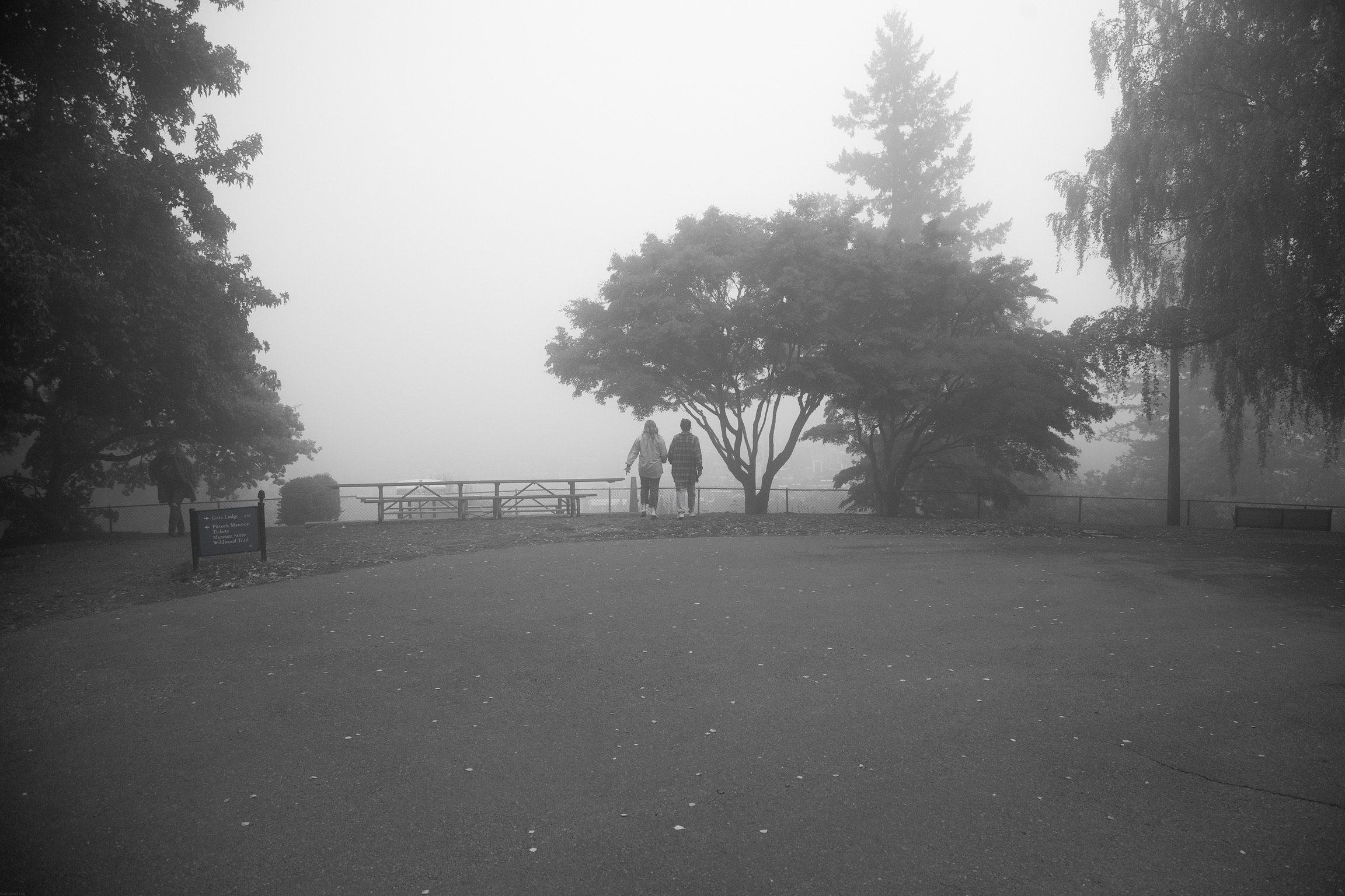 _MG_5546.jpg