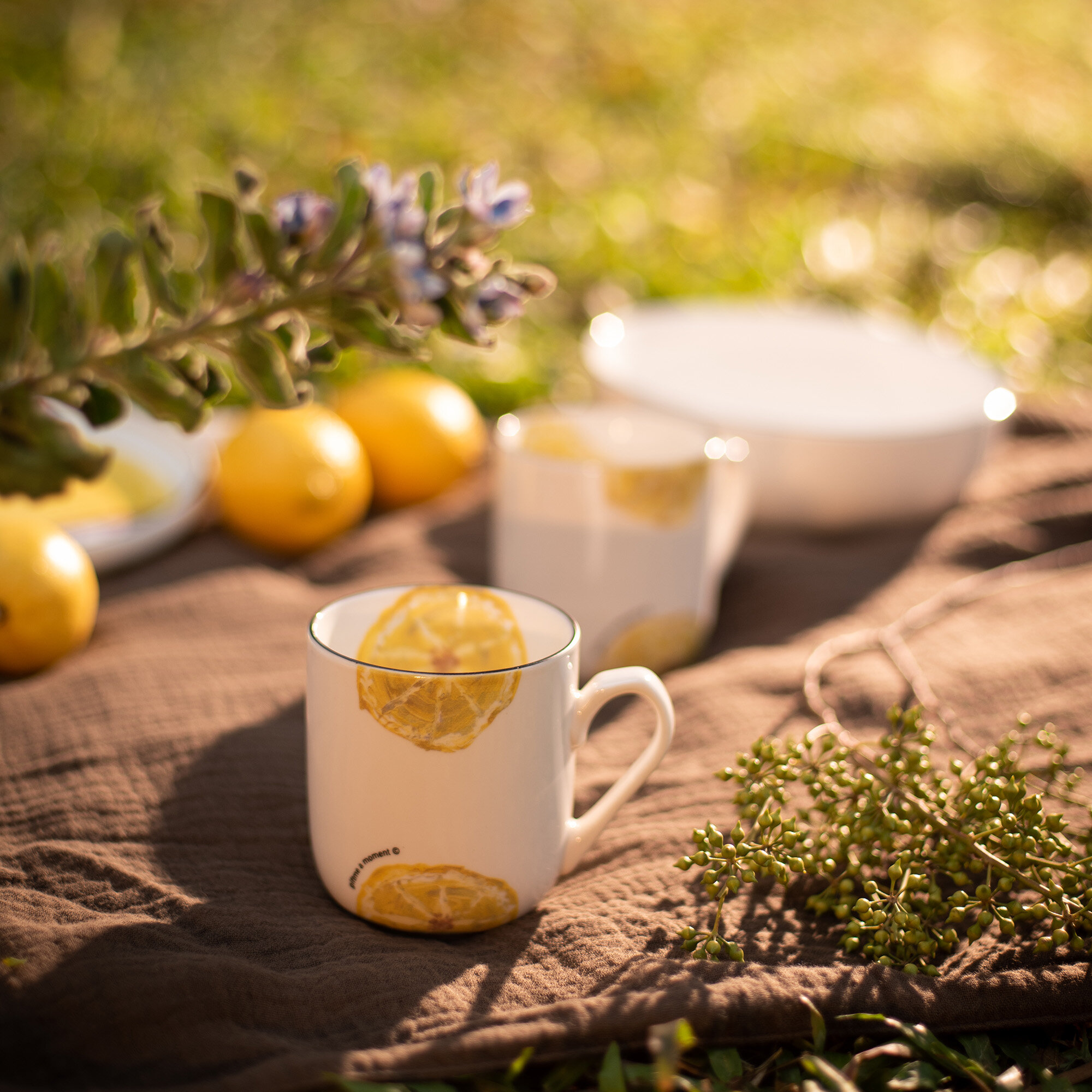 1931-Lemon-4.jpg