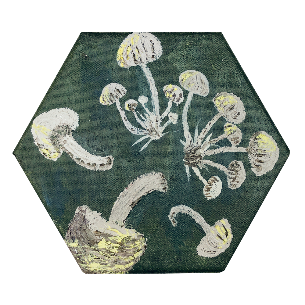 Mushroom 6