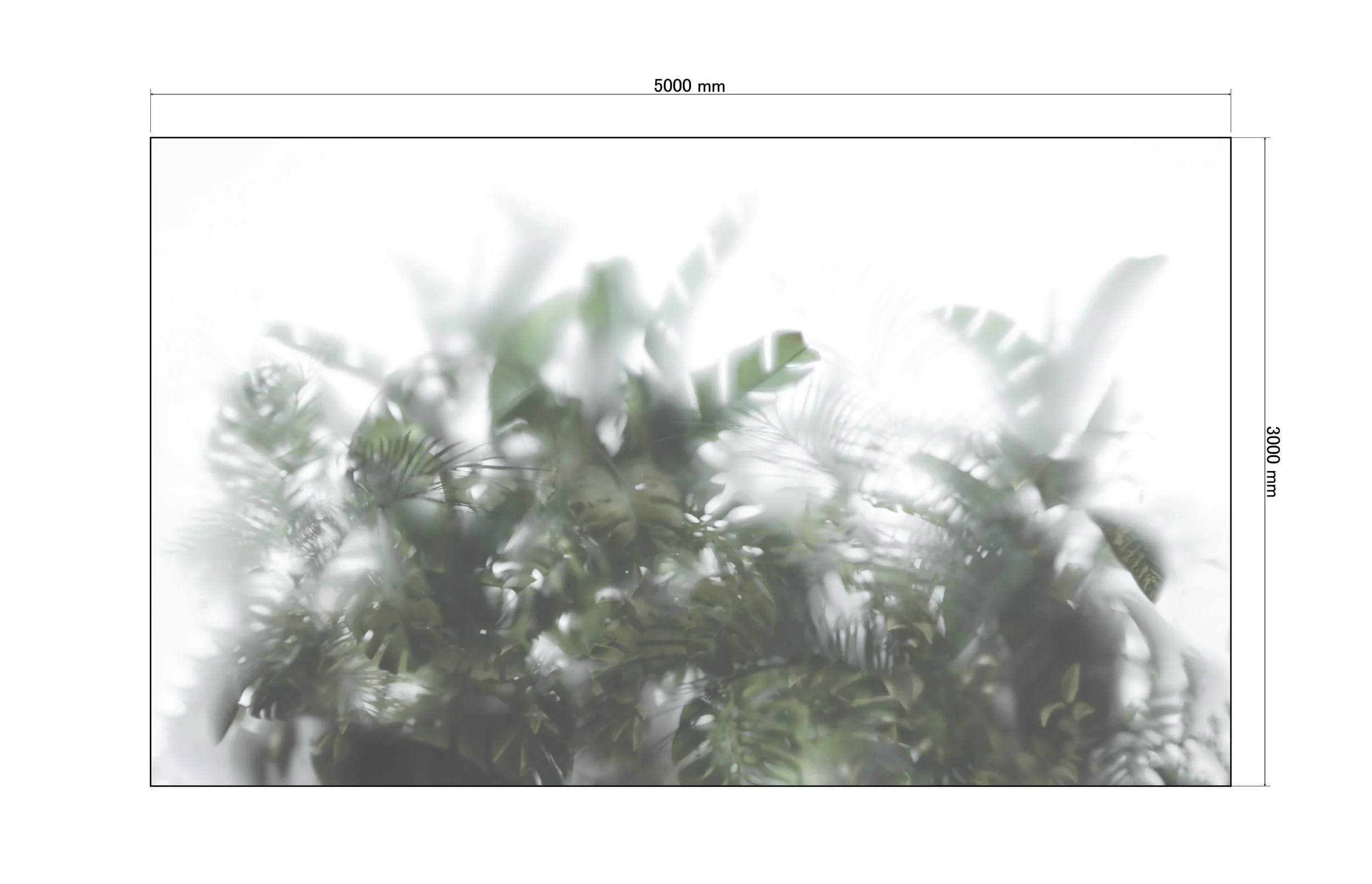 foliage-12.jpg