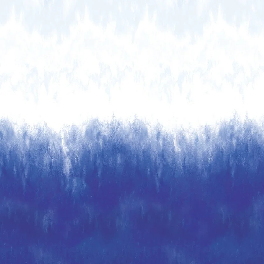 foglightdrift - web view.jpg