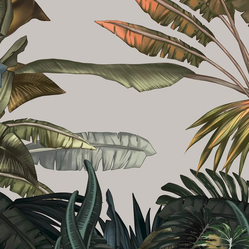 Tropics