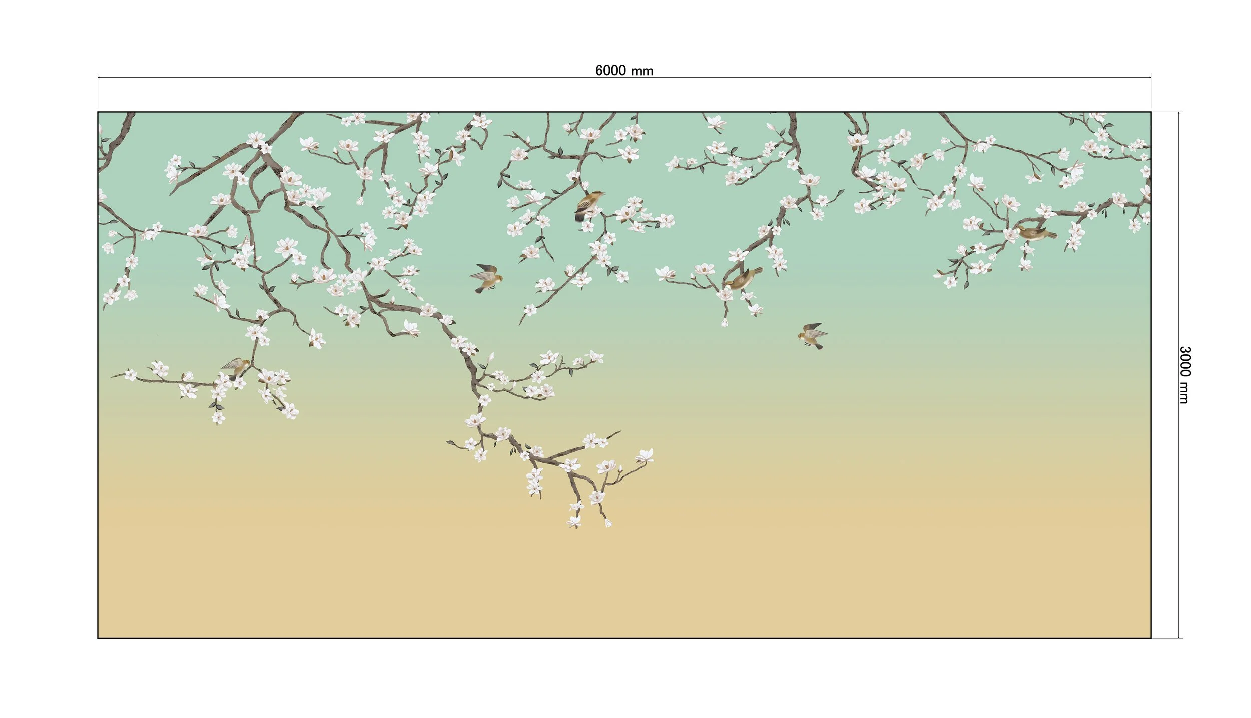 blossoms and spring-15.jpg