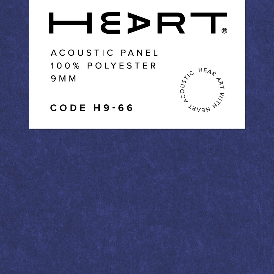 H9-66