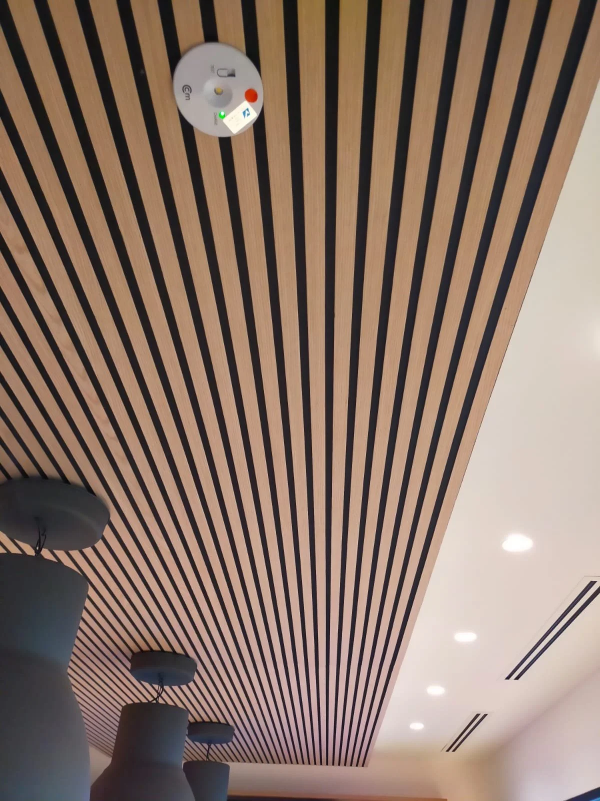 Mintel (AP Slat Ceiling) (3).jpeg