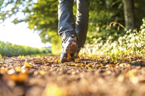GGIA-SavoringWalk_472_315_s_c1.jpeg