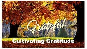 Cultivating a habit of gratitude