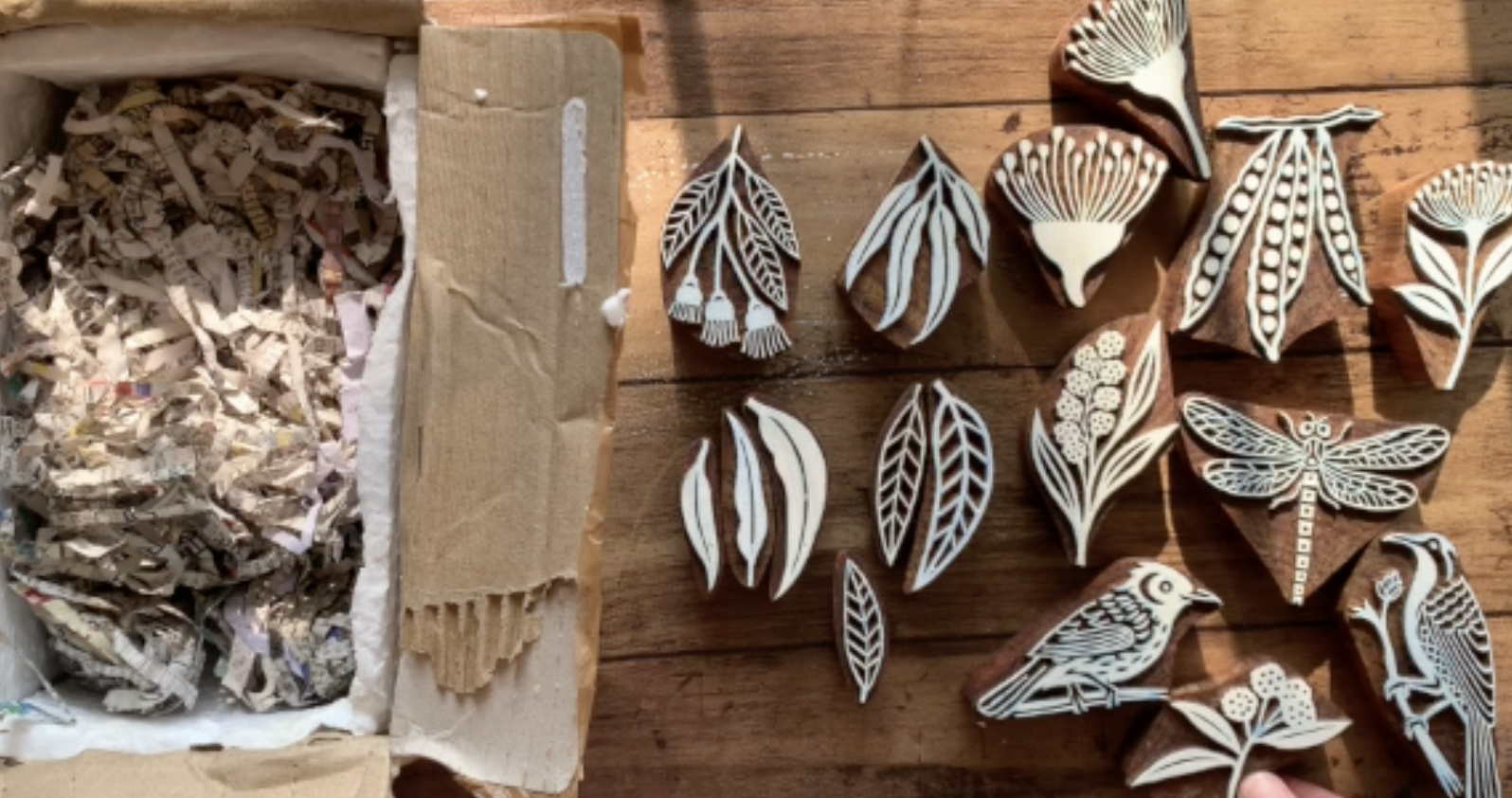 When a Simple Thank You Opens a New Path