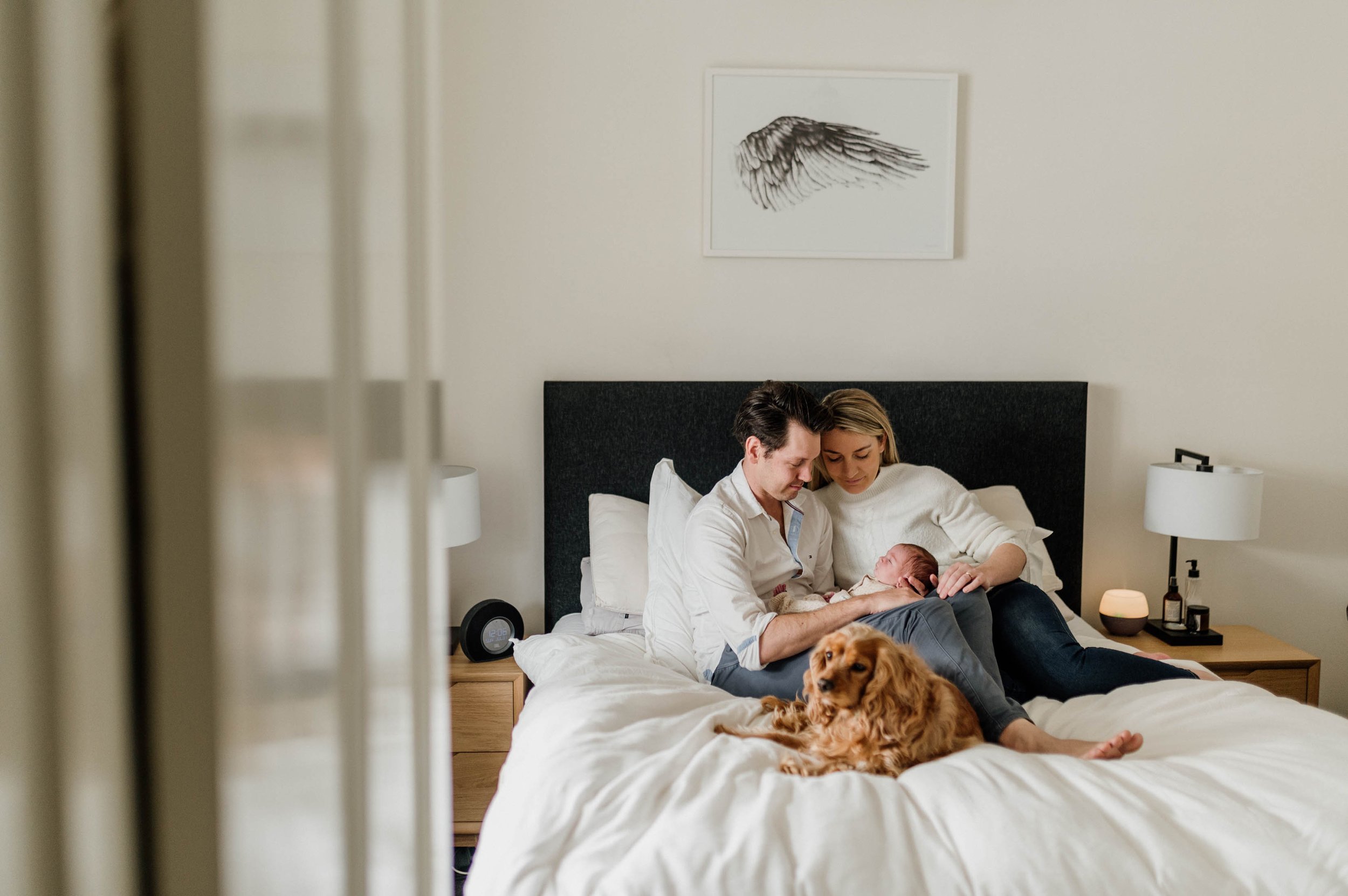 parents holding baby on bed with dog