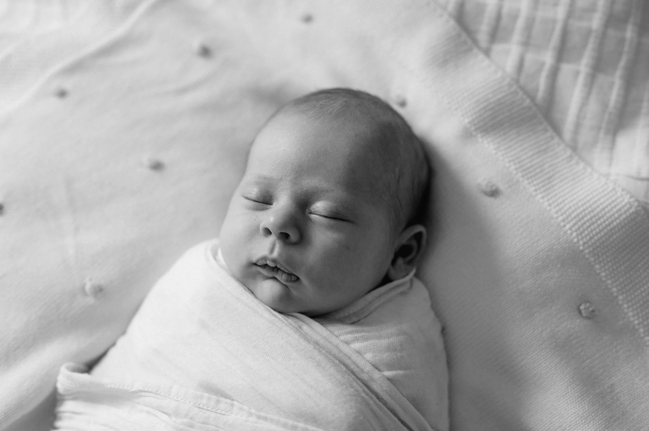 Melbourne Newborn Photographer-48.jpg