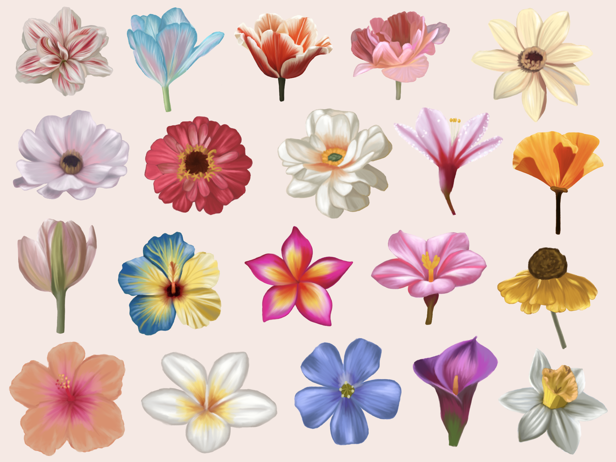 Untitled_Artwork 365.png