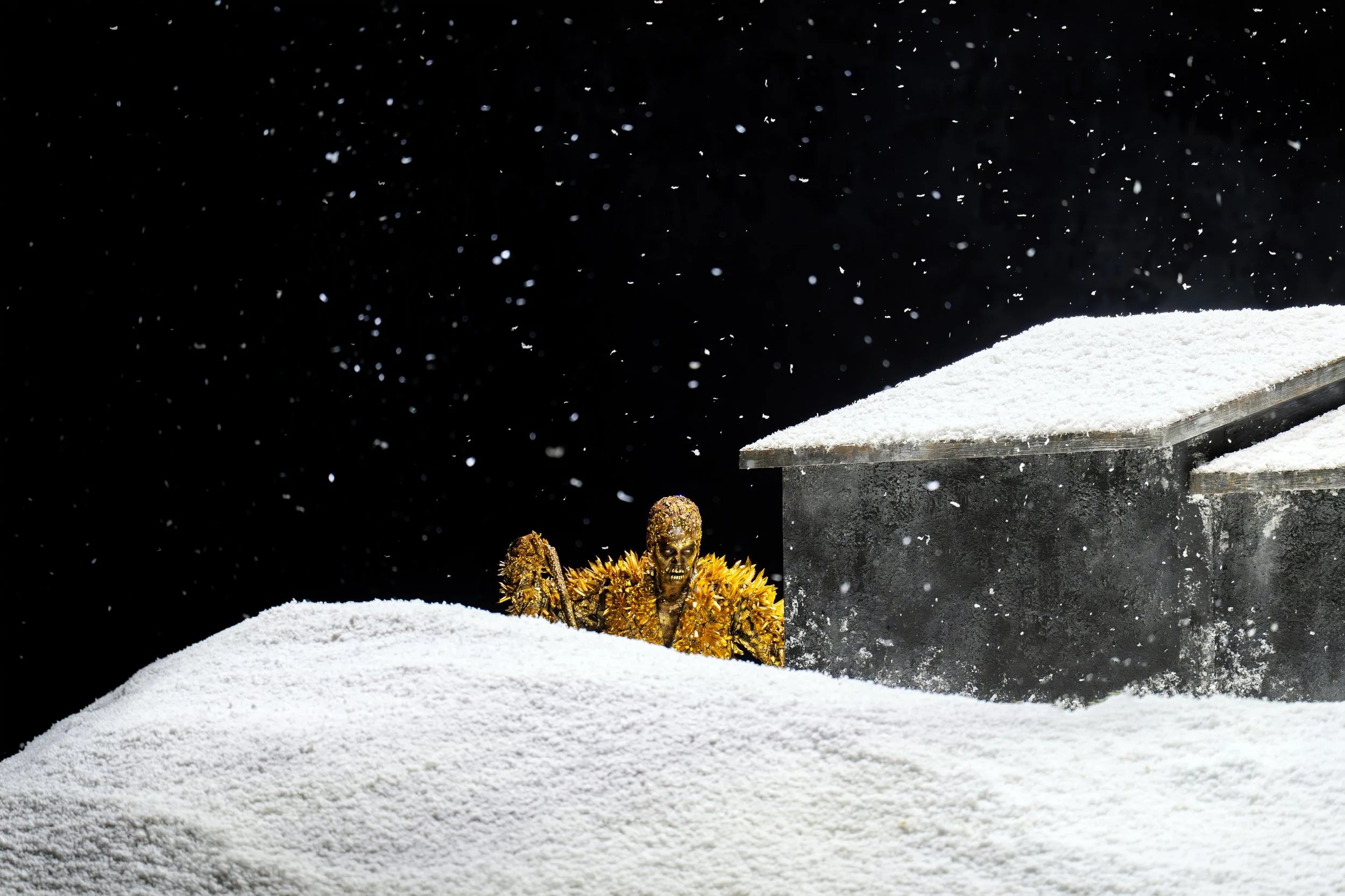 02_siegfried_bk_roh_168.jpg