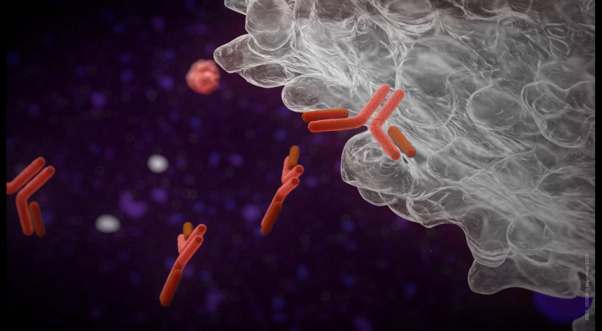 SCREENSHOT VIDEOS ILLUSTRATION_0031_Calque 11.jpg