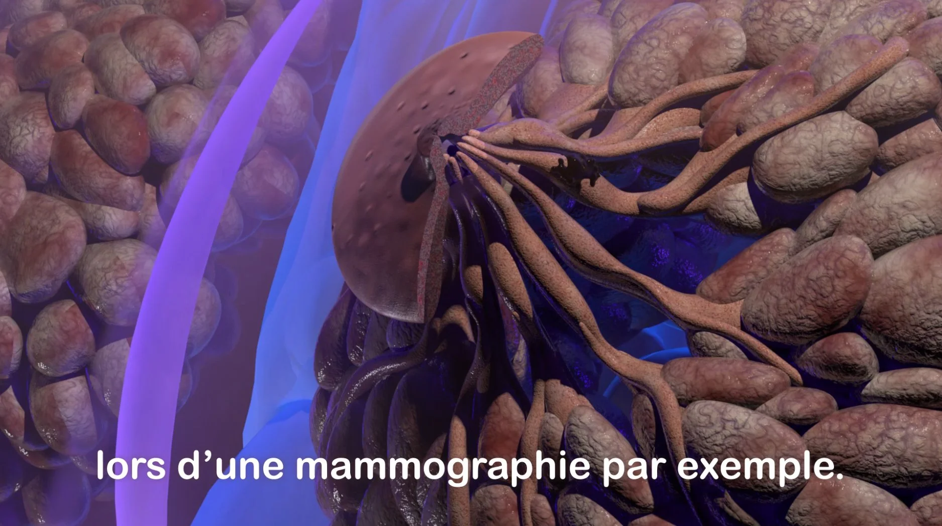 screenshot lcc_0003_Calque 4.jpg