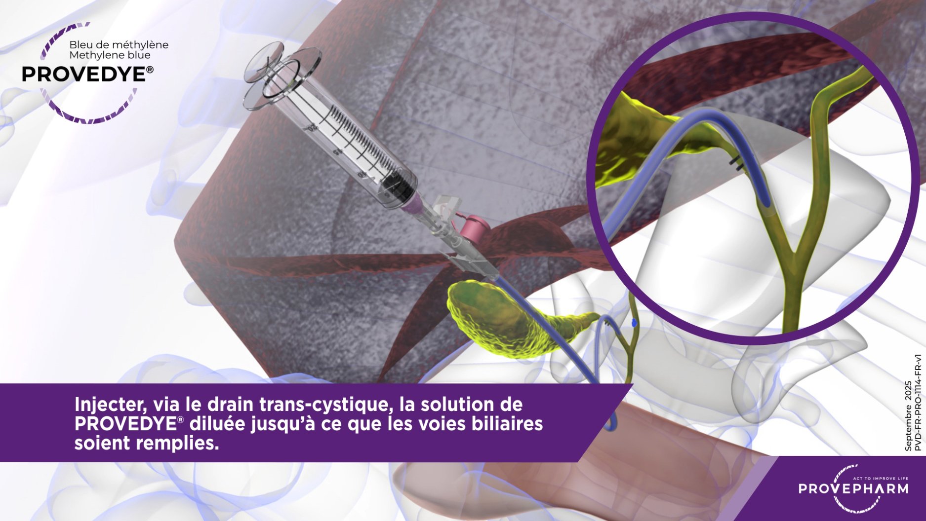 SCREENSHOT VIDEOS ILLUSTRATION_0015_Calque 27.jpg